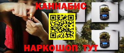 гашик Можайск