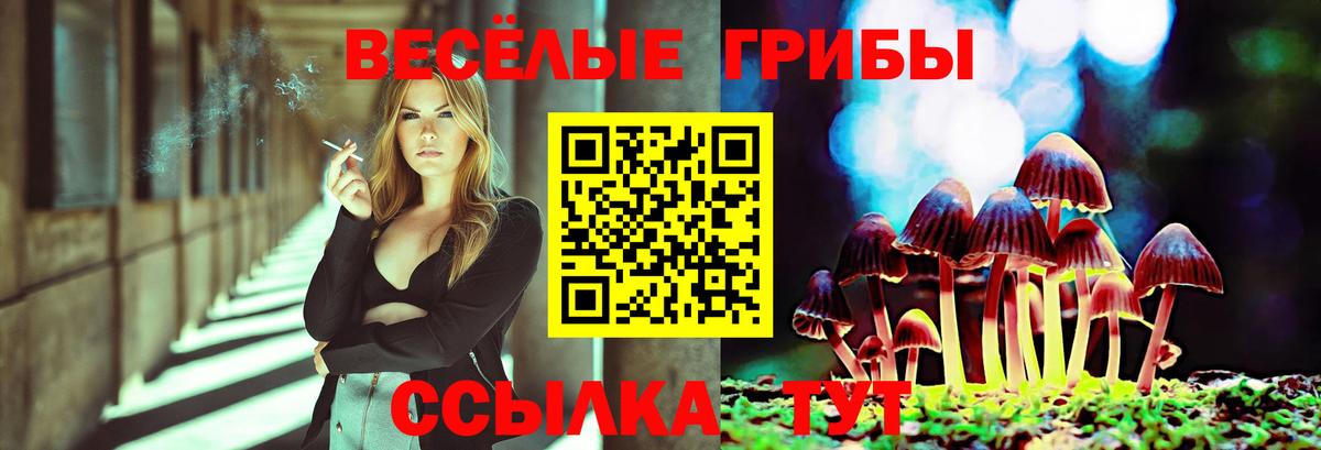 купить наркотик  Галлюциногенные грибы MAGIC MUSHROOMS  Вход с VPN  Псилоцибиновые грибы GOLDEN TEACHER  Чайковский 